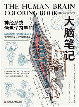 大脑笔记
