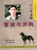 盲孩与弃狗