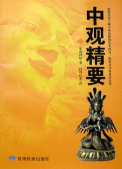 中观精要