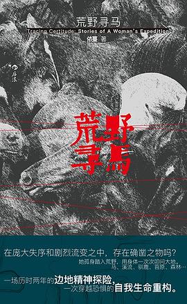 荒野寻马