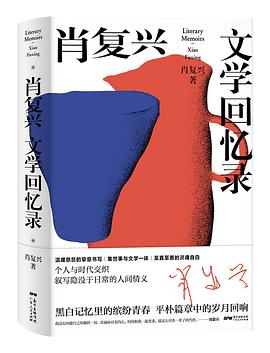肖复兴文学回忆录