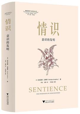 情识