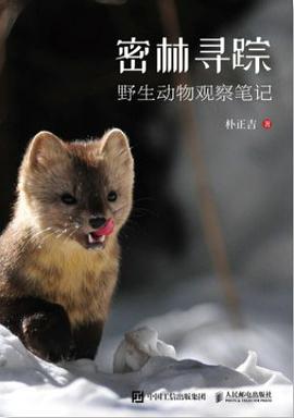 密林寻踪——野生动物观察笔记