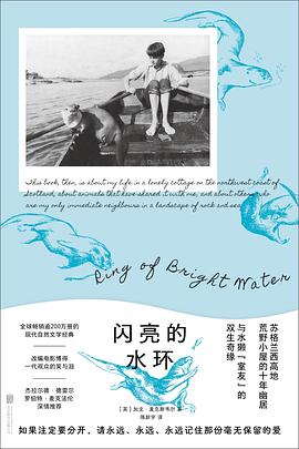 闪亮的水环