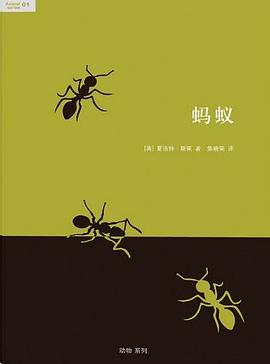 蚂蚁