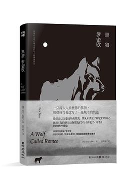 黑狼罗密欧