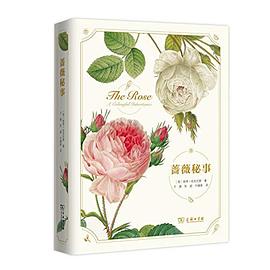 蔷薇秘事