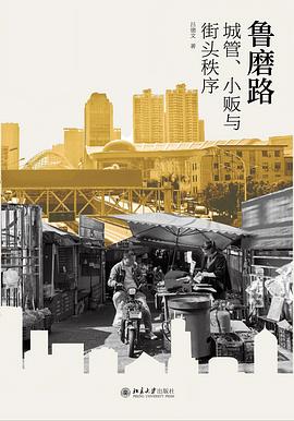 鲁磨路:城管、小贩与街头秩序