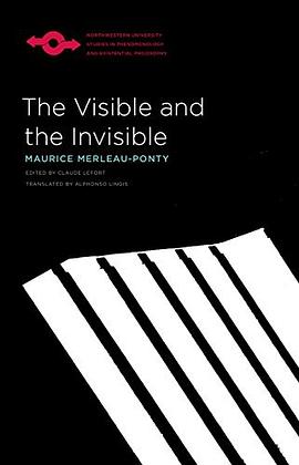 The Visible and the Invisible