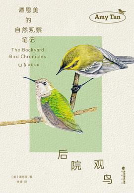 后院观鸟