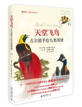 天堂飞鸟