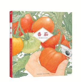 番茄