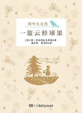 一篮云杉球果