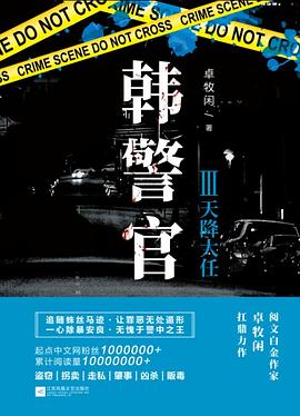 韩警官Ⅲ：天降大任