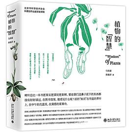 植物的“智慧”