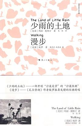 少雨的土地漫步