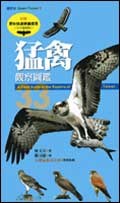 猛禽觀察圖鑑