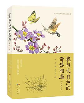 我与大自然的奇妙相遇·发现昆虫