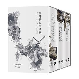 芬尼根的守灵夜（全译注释本）