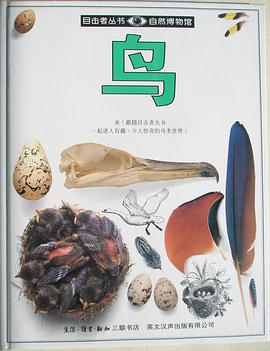 目击者丛书 鸟