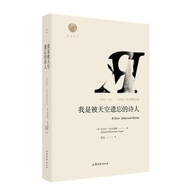 我是被天空遗忘的诗人