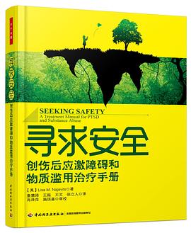 寻求安全