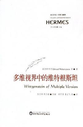 多维视界中的维特根斯坦