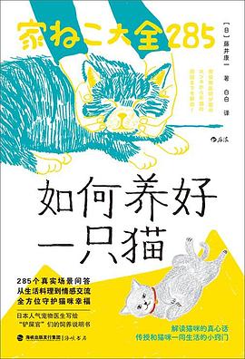 如何养好一只猫