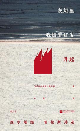 灰烬里我披着红发升起