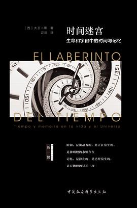 时间迷宫