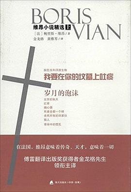维昂小说精选（上）