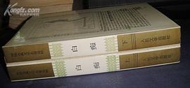 白痴