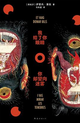 我给了你眼睛，你却望向迷雾