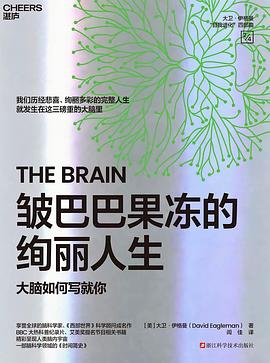 皱巴巴果冻的绚丽人生