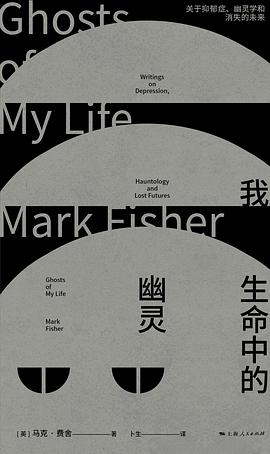 我生命中的幽灵:关于抑郁症、幽灵学和消失的未来