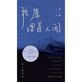 我愿埋首人间：张二棍的诗