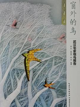 窗外的鸟