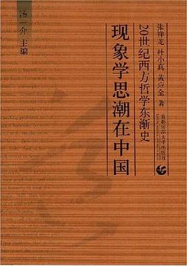现象学思潮在中国