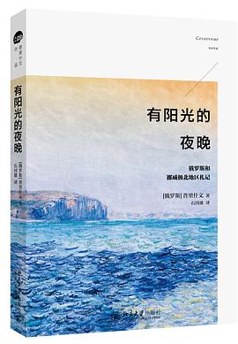 有阳光的夜晚