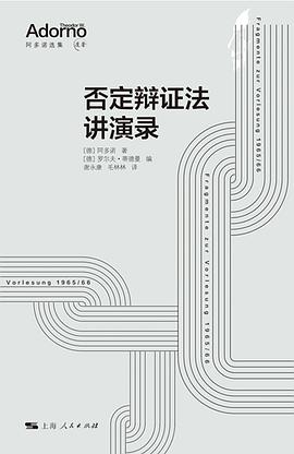 否定辩证法讲演录