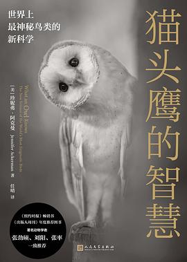 猫头鹰的智慧