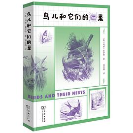 鸟儿和它们的巢