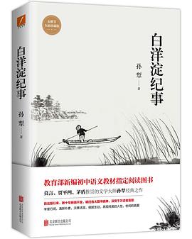 白洋淀纪事（未删节全新珍藏版）