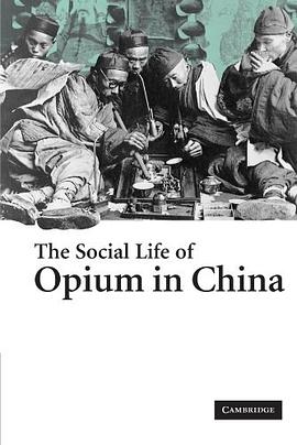 The Social Life of Opium in China
