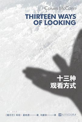 十三种观看方式