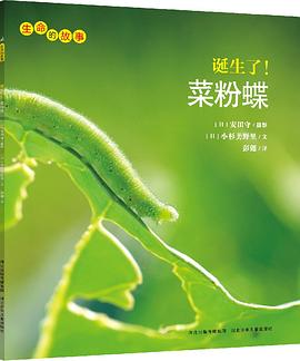 诞生了！菜粉蝶