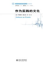 作为实践的文化
