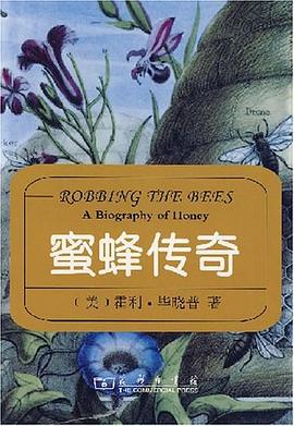 蜜蜂传奇