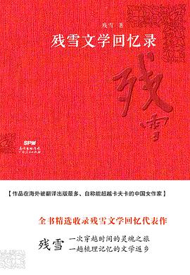 残雪文学回忆录