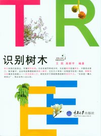 识别树木